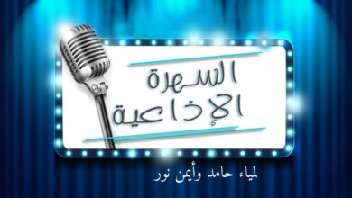 لمياء حامد وأيمن نور